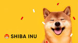 shiba sohbet